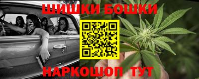 индика Волжский