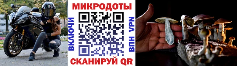 ссылка на мегу маркетплейс  где купить наркотик  Кызыл  Галлюциногенные грибы GOLDEN TEACHER 