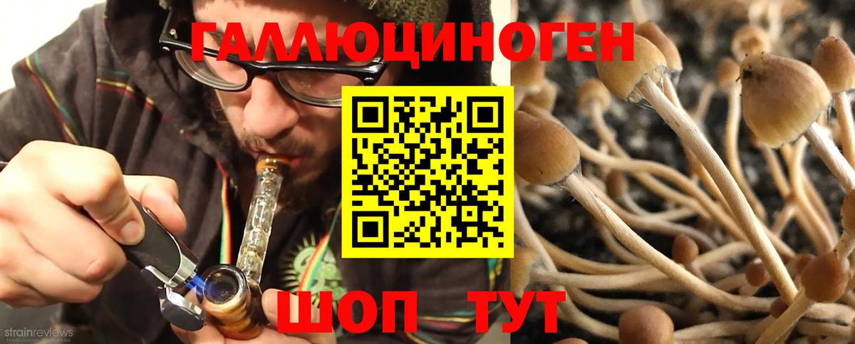 Галлюциногенные грибы мицелий  Вход с VPN  Кызыл 